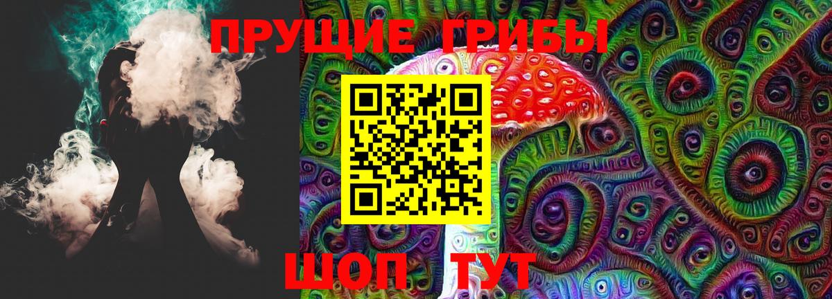 Псилоцибиновые грибы Psilocybe Переславль-Залесский